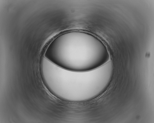 X0000097471452200802220819