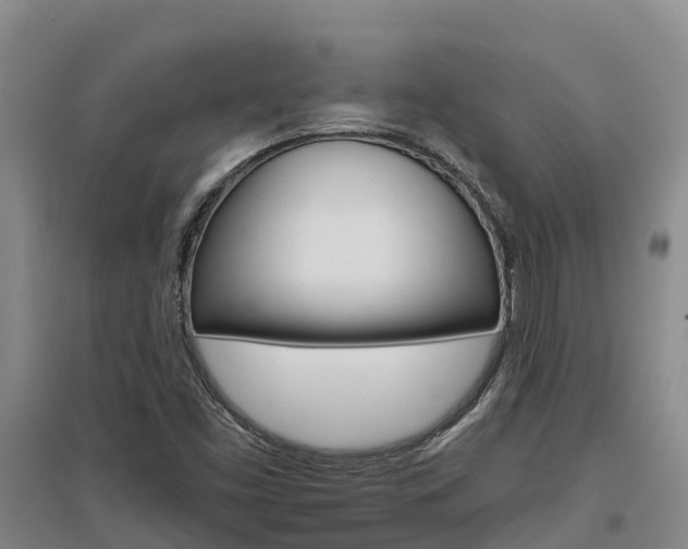 X0000097471453200802220819