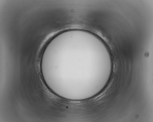 X0000097471454200802220819