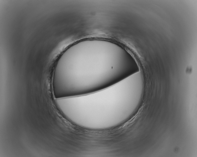 X0000097471455200802220819