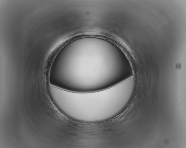 X0000097471456200802220819