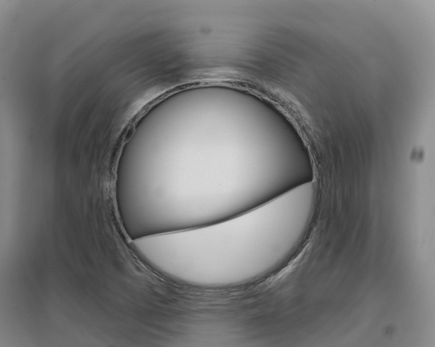 X0000097471457200802220819