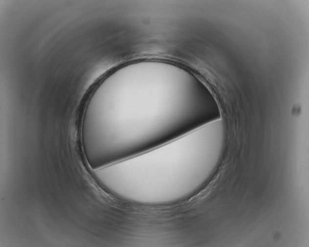 X0000097471458200802220819