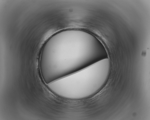 X0000097471459200802220819