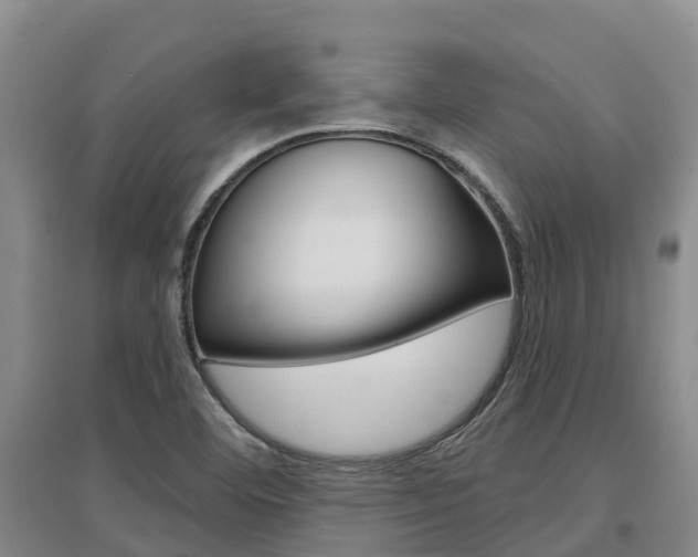 X0000097471460200802220819