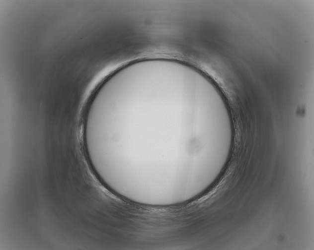 X0000097471462200802220819