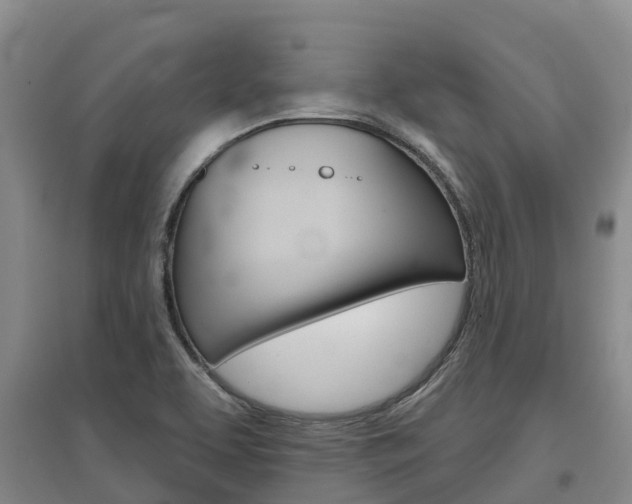 X0000097471463200802220819