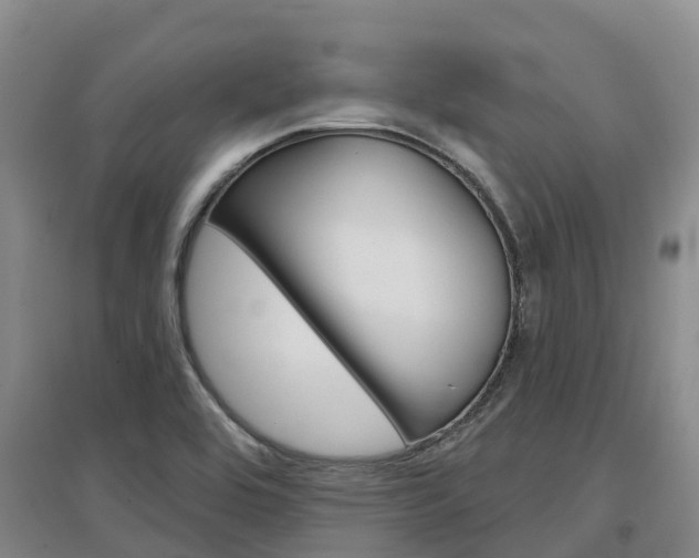 X0000097471464200802220819