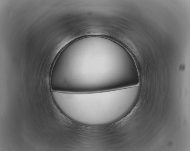X0000097471465200802220818