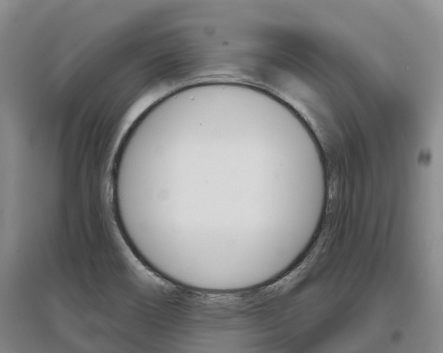 X0000097471466200802220818