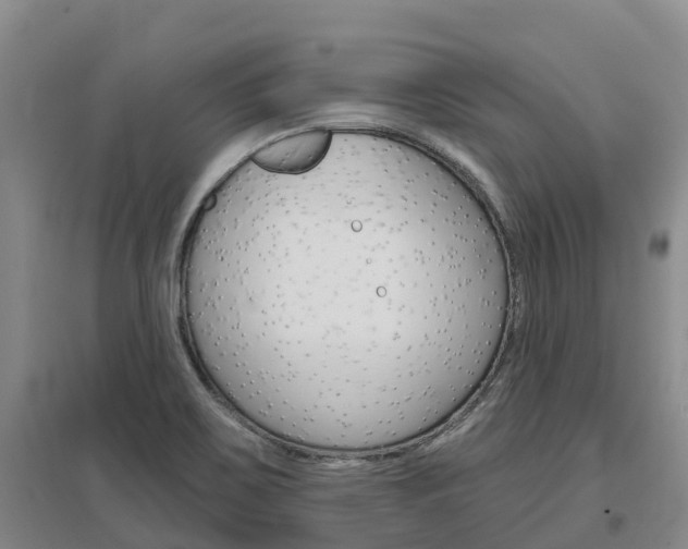 X0000097471467200802220818