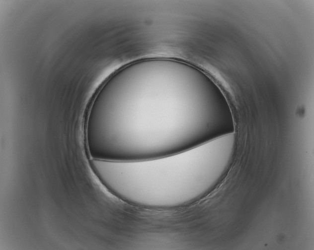 X0000097471468200802220818