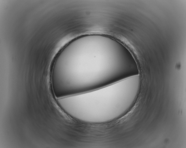 X0000097471469200802220818