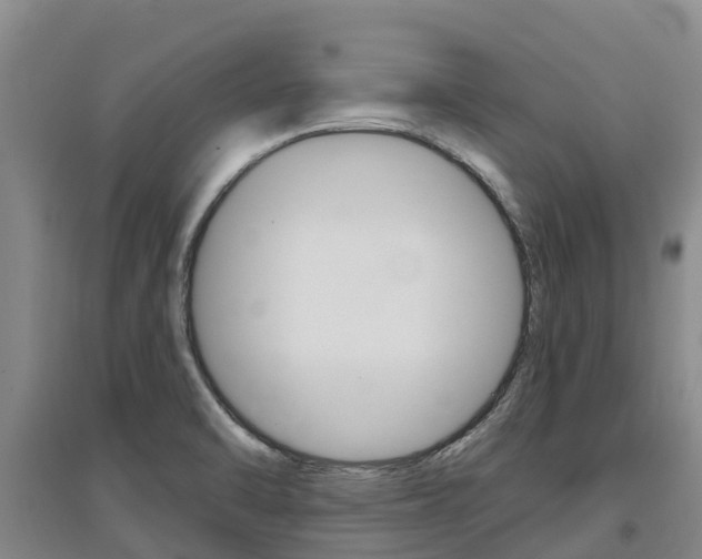 X0000097471470200802220818
