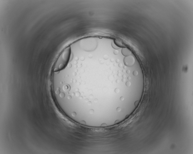 X0000097471471200802220818
