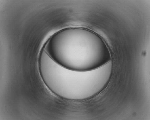 X0000097471472200802220818