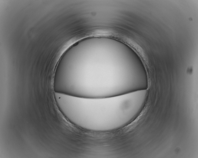 X0000097471473200802220818