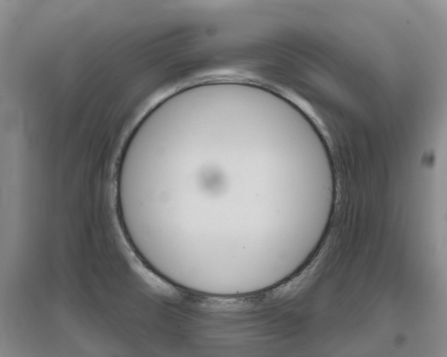 X0000097471474200802220818