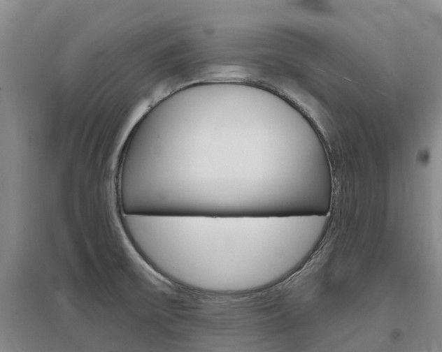 X0000097471475200802220818