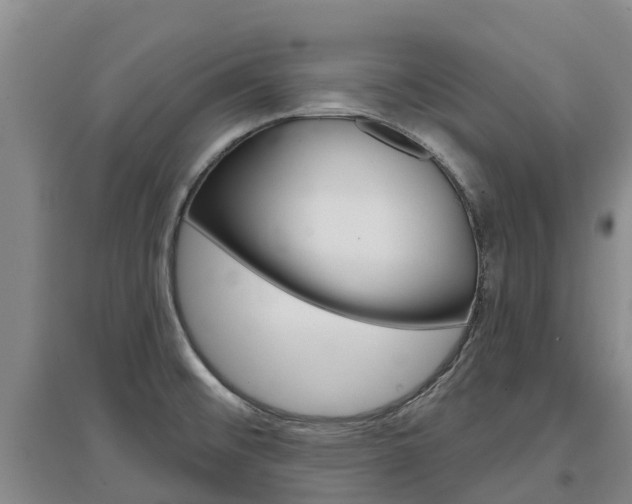 X0000097471476200802220818