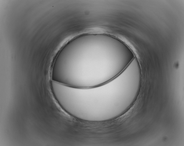 X0000097471477200802220818