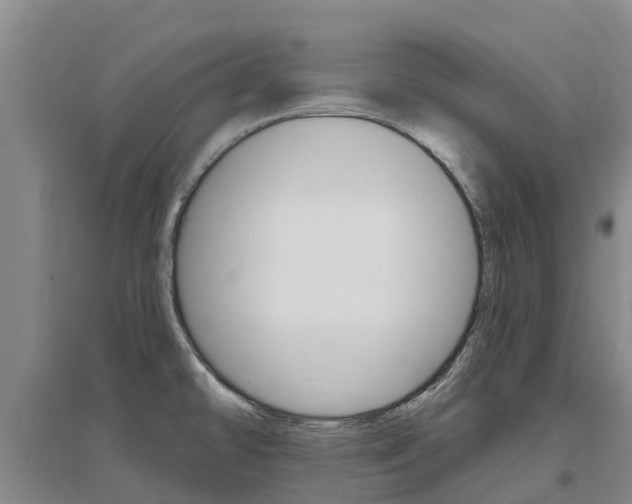 X0000097471478200802220818