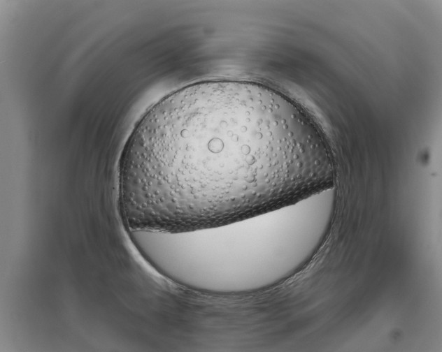 X0000097471479200802220818