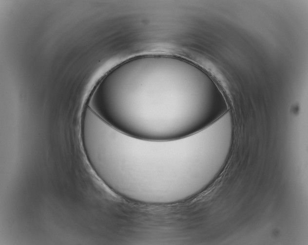 X0000097471480200802220818