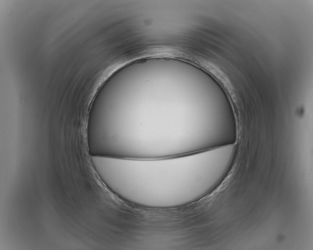 X0000097471481200802220818