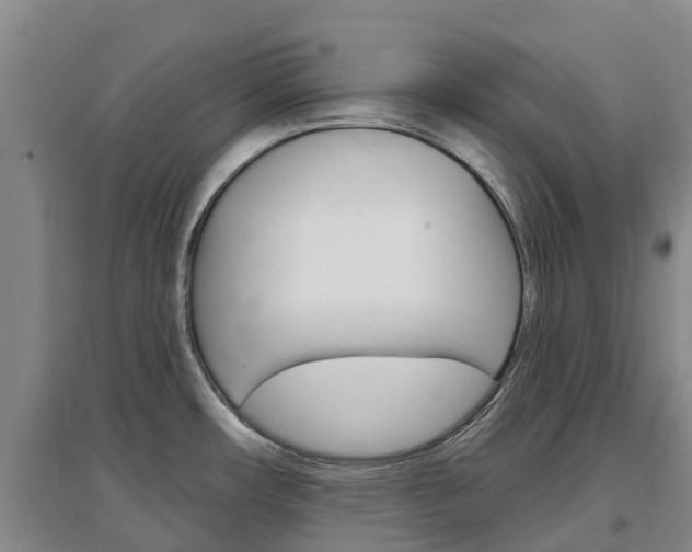 X0000097471482200802220818