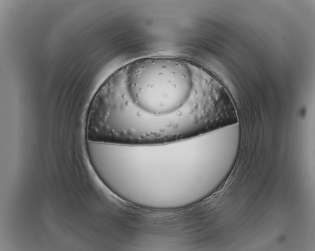X0000097471483200802220818