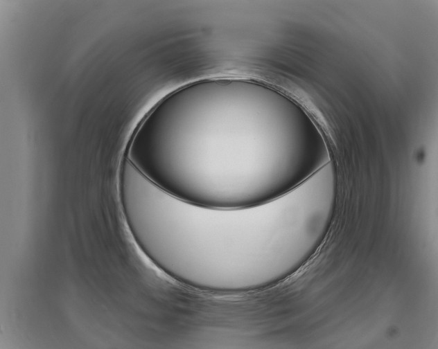 X0000097471484200802220818