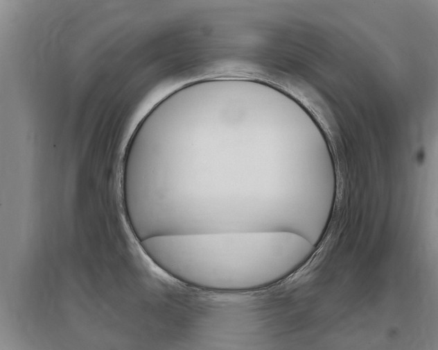 X0000097471486200802220818