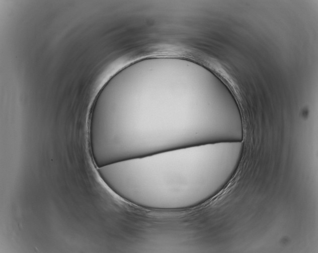 X0000097471487200802220818