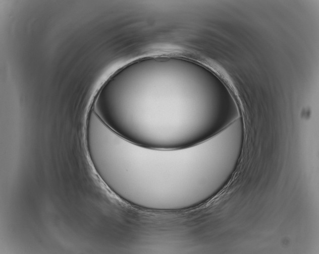 X0000097471488200802220818