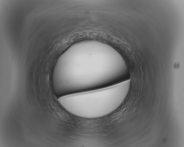 X0000097471489200802220817