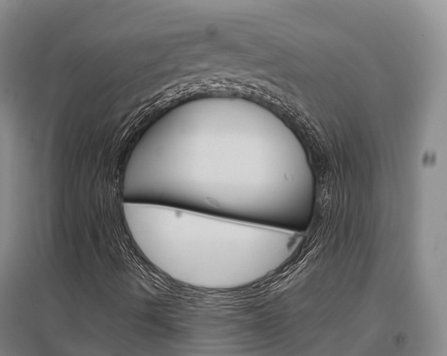 X0000097471490200802220818