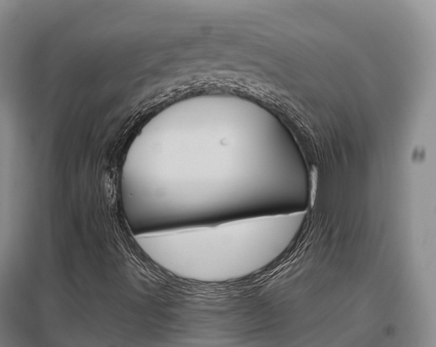 X0000097471491200802220818