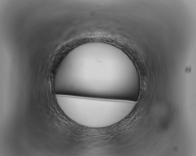 X0000097471493200802220818