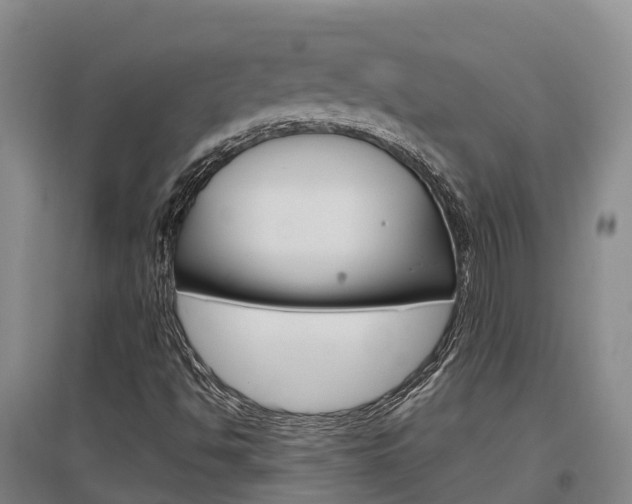 X0000097471494200802220818