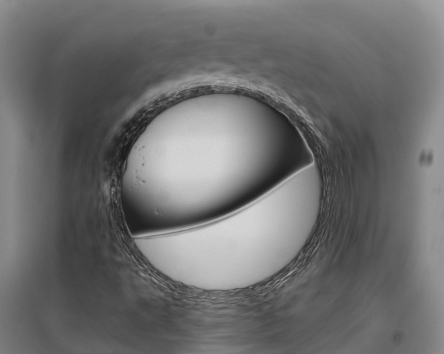 X0000097471495200802220818