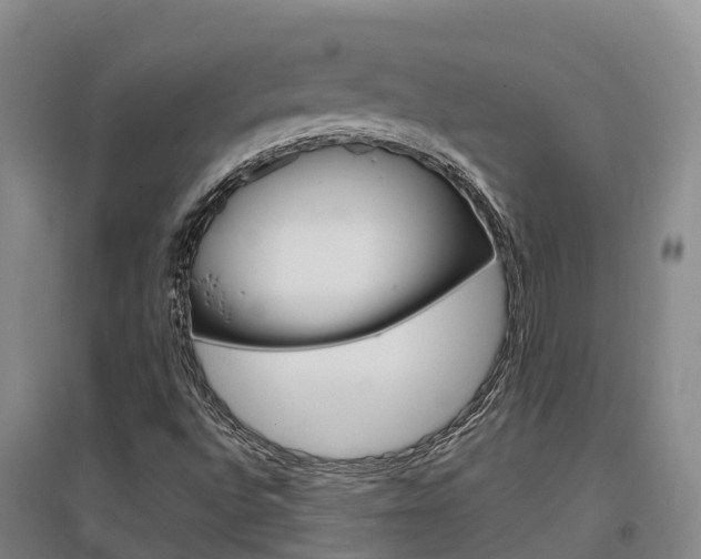 X0000097471496200802220818