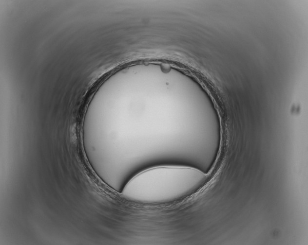 X0000097471497200802220818