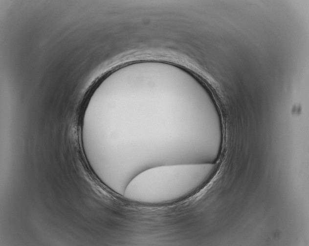 X0000097471498200802220818
