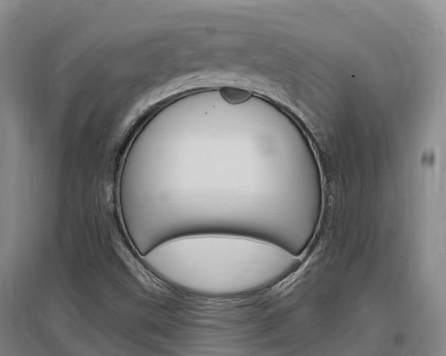 X0000097471499200802220818