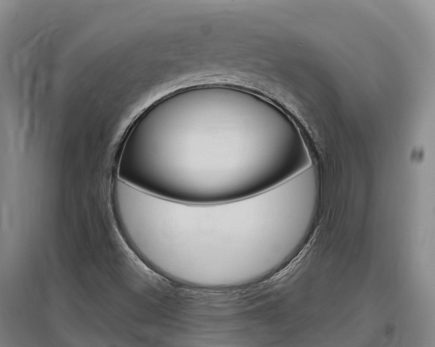 X0000097471500200802220818