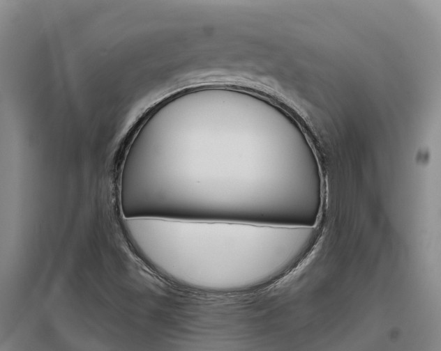 X0000097471501200802220818