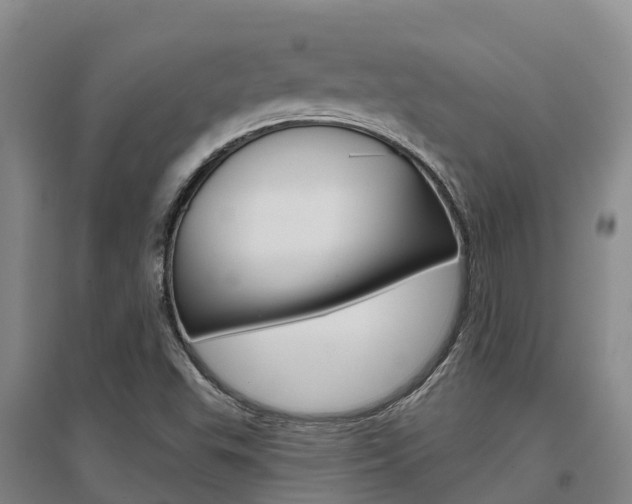X0000097471503200802220818