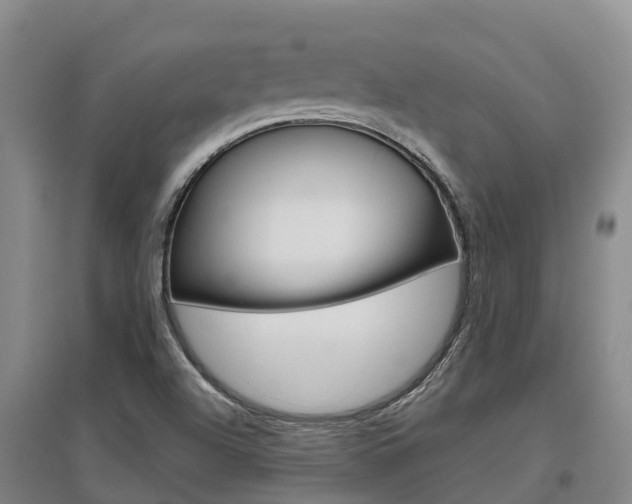 X0000097471504200802220818