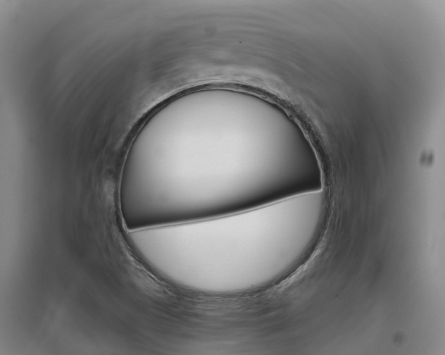 X0000097471505200802220818